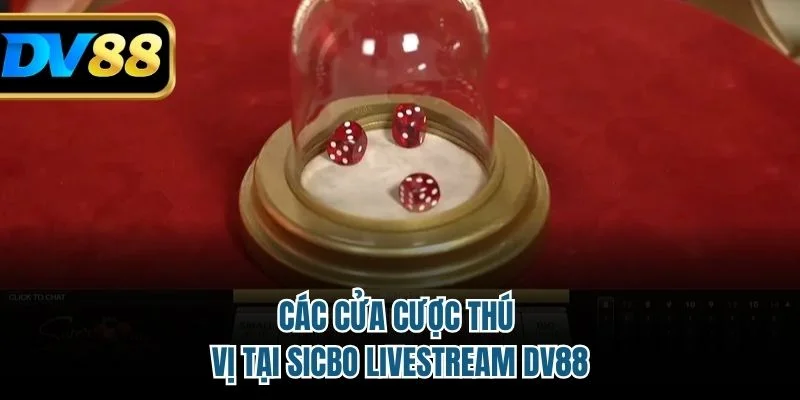 Các cửa cược thú vị tại sicbo livestream DV88